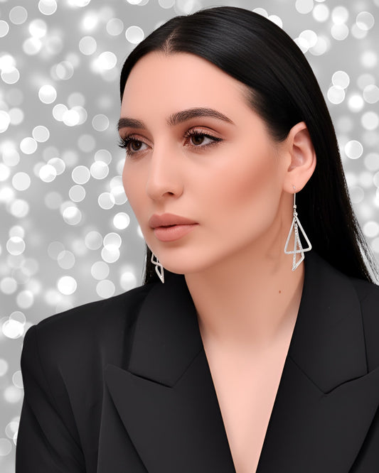 Silver earrings - Asticus